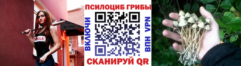 shop состав Георгиевск Галлюциногенные грибы GOLDEN TEACHER