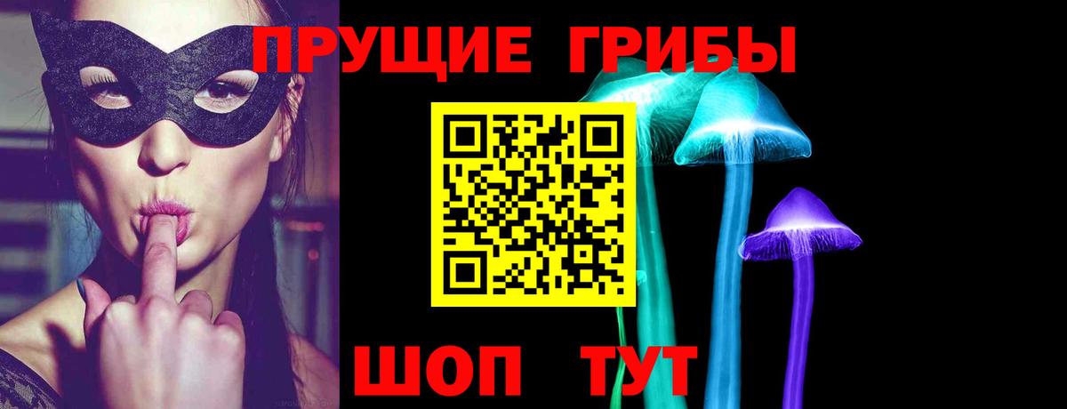 Георгиевск  Псилоцибиновые грибы мицелий  Вход с VPN 