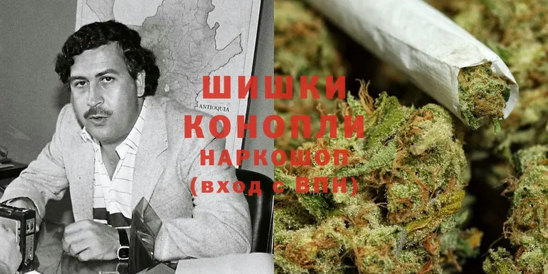 где можно купить   Георгиевск  МАРИХУАНА THC 21% 